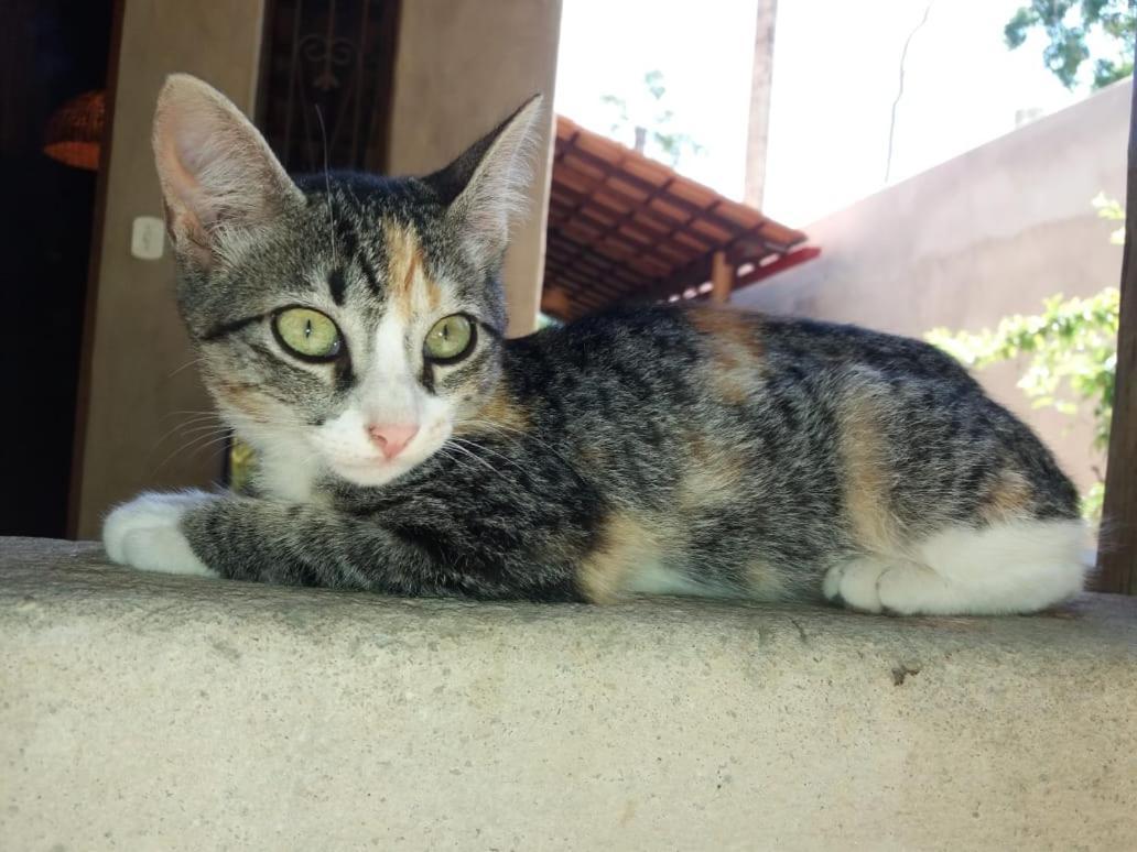 Vila Prosperidade ตรันโกโซ ภายนอก รูปภาพ